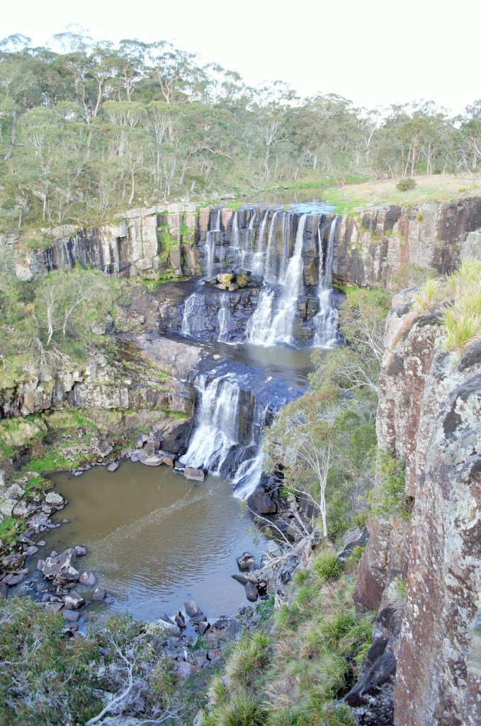 Ebor Falls, definitely worth stopping at if you are driving passed. It is only a couple of hundred meters from the main road to boot. 