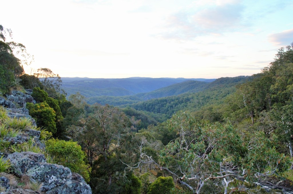 Looking out from Ebor Falls.