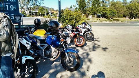 13315726_1078935075478036_7573489152285550967_n